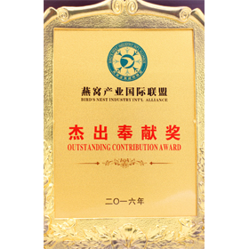 杰出贡献奖